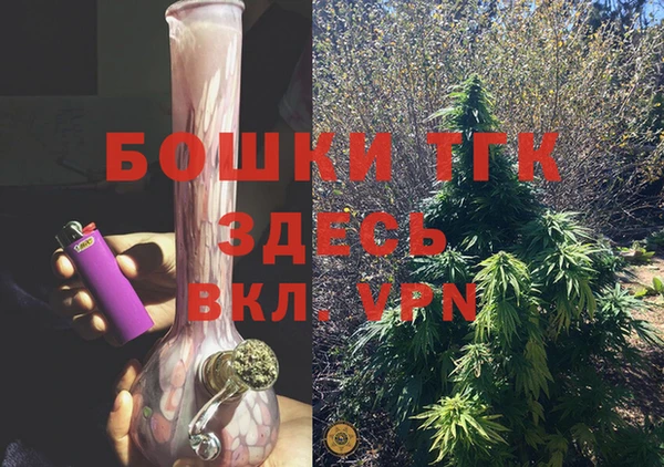 прущие грибы Лабытнанги