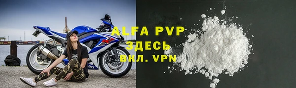 спайс Ладушкин