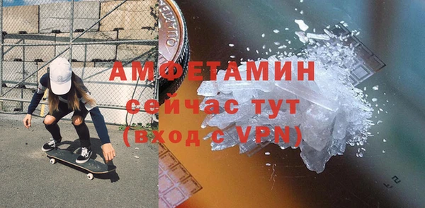 прущие грибы Лабытнанги