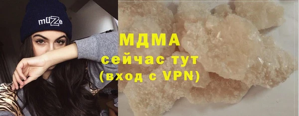 прущие грибы Лабытнанги