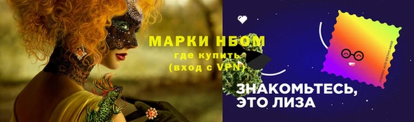 прущие грибы Лабытнанги