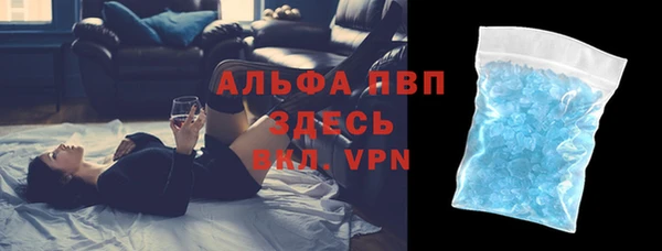 прущие грибы Лабытнанги