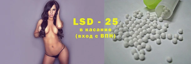 спайс Ладушкин