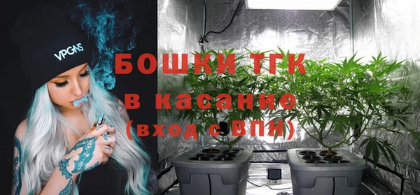 spice Лагань