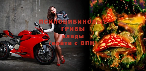 прущие грибы Лабытнанги
