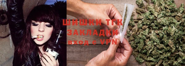 спайс Ладушкин