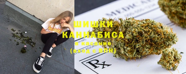 спайс Ладушкин
