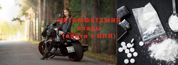 прущие грибы Лабытнанги