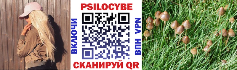 дарнет шоп  Лабинск  Галлюциногенные грибы мицелий 